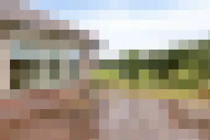 Slagdijk 17 Goor thumbnail 36