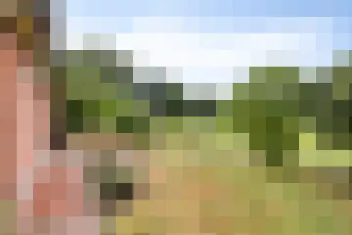 Slagdijk 17 Goor thumbnail 37