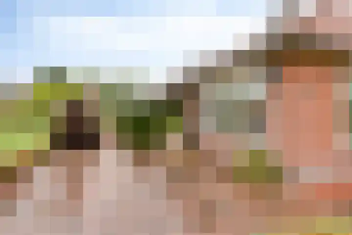 Slagdijk 17 Goor thumbnail 38