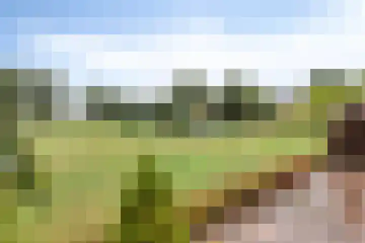 Slagdijk 17 Goor thumbnail 39