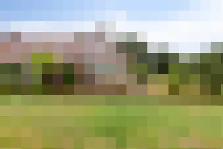 Slagdijk 17 Goor thumbnail 41