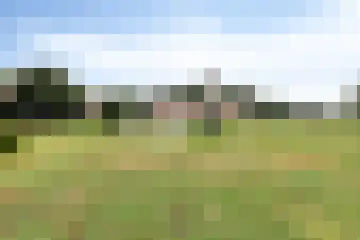 Slagdijk 17 Goor thumbnail 42