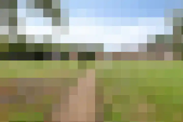 Slagdijk 17 Goor thumbnail 43