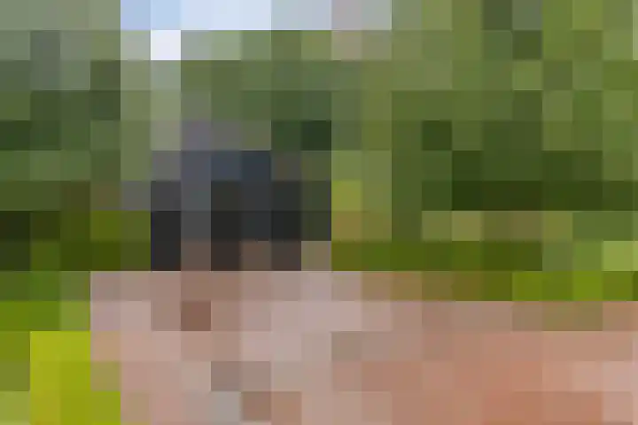 Slagdijk 17 Goor thumbnail 44