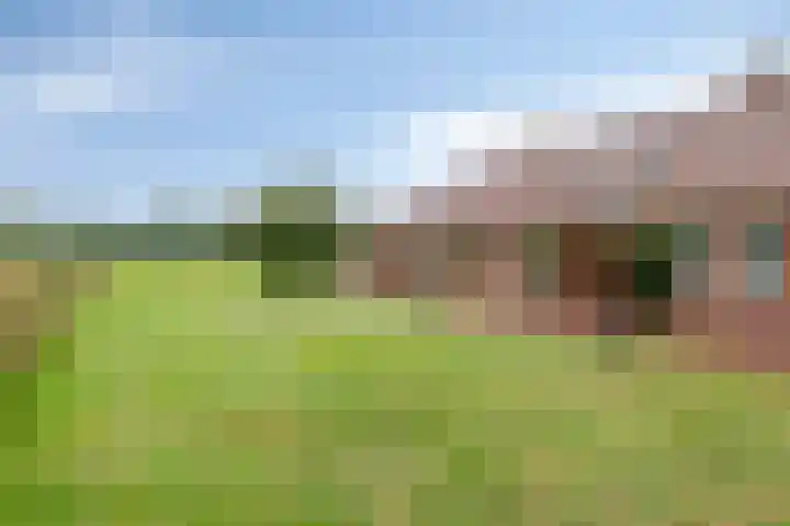 Slagdijk 17 Goor thumbnail 47