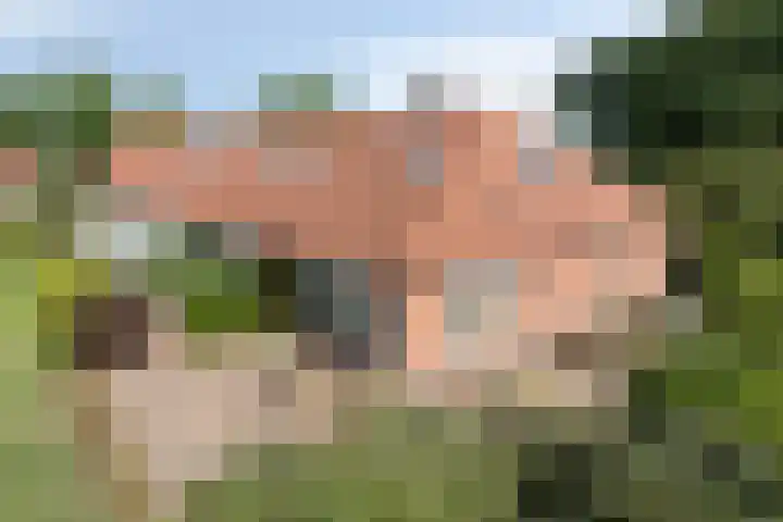 Slagdijk 17 Goor thumbnail 48