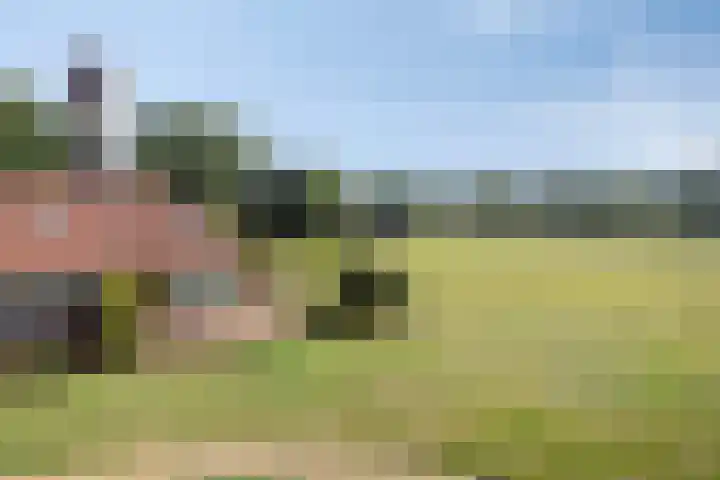 Slagdijk 17 Goor thumbnail 49