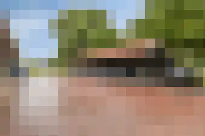 Slagdijk 17 Goor thumbnail 6