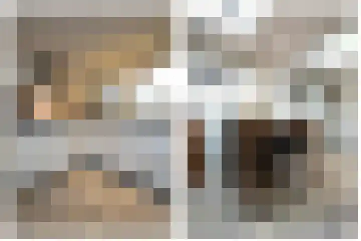 Slagdijk 2 Havelte thumbnail 12