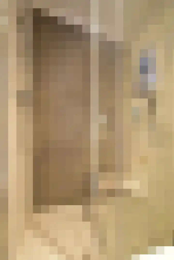 Slagdijk 2 Havelte thumbnail 17