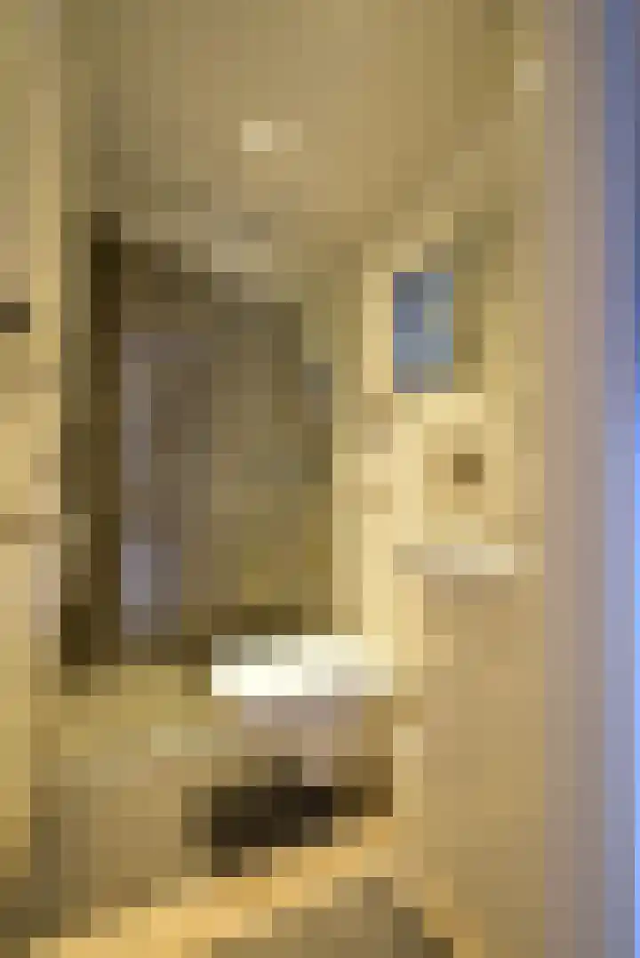 Slagdijk 2 Havelte thumbnail 18