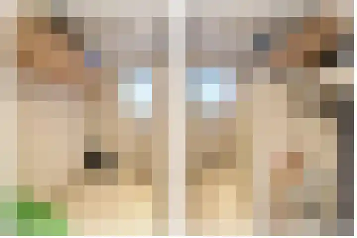 Slagdijk 2 Havelte thumbnail 19