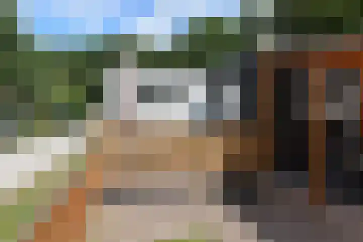 Slagdijk 2 Havelte thumbnail 20