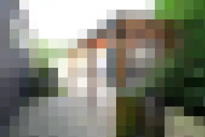 Slagdijk 2 Havelte thumbnail 21