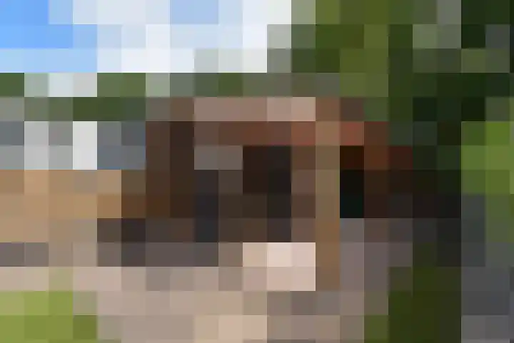 Slagdijk 2 Havelte thumbnail 22