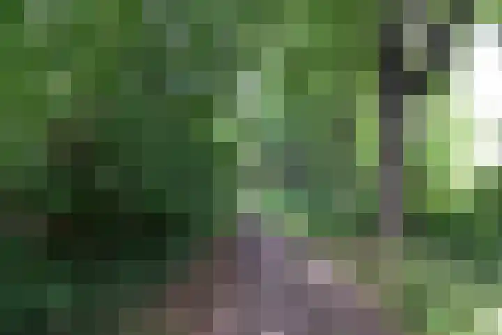 Slagdijk 2 Havelte thumbnail 27