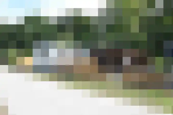 Slagdijk 2 Havelte thumbnail 28
