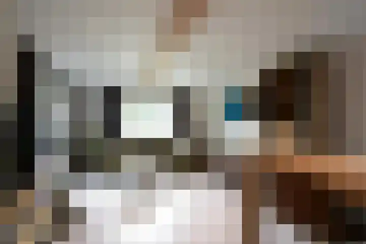 Slagdijk 2 Havelte foto 3