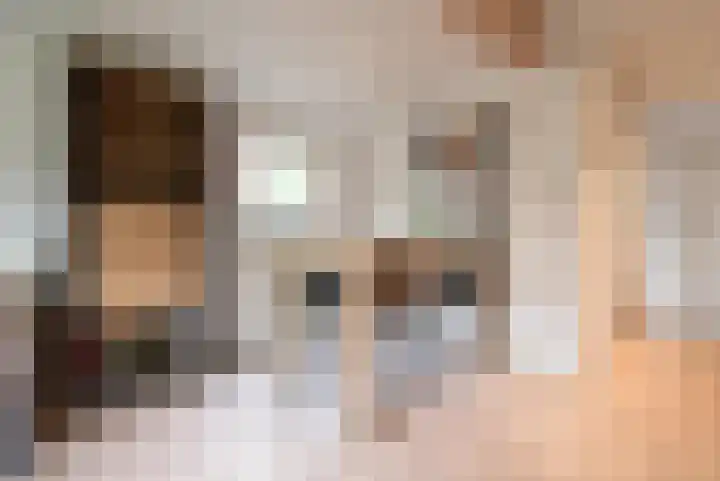 Slagdijk 2 Havelte thumbnail 6
