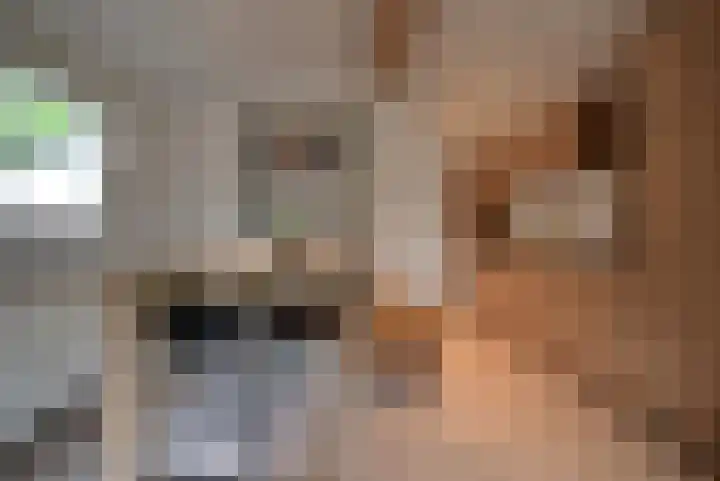 Slagdijk 2 Havelte thumbnail 7