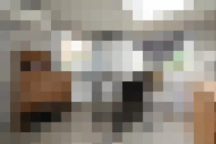 Slagdijk 2 Havelte thumbnail 9