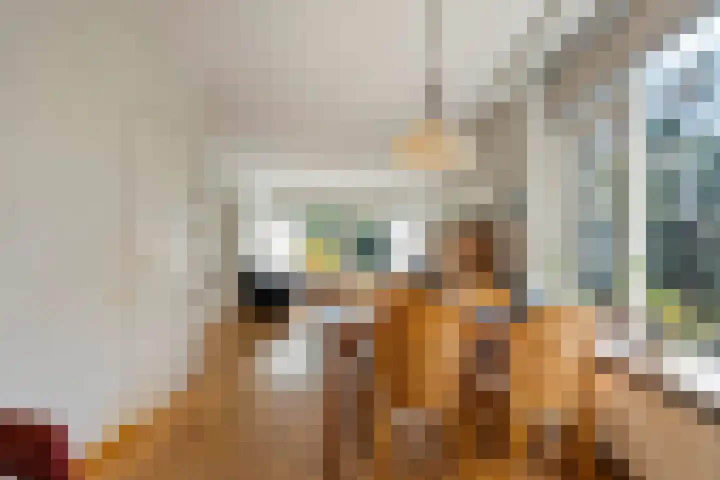 Slagendijk 5 Zuidwolde thumbnail 14