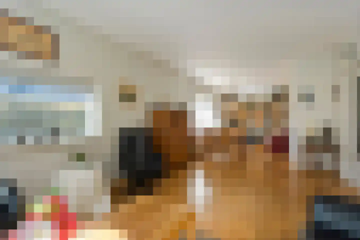 Slagendijk 5 Zuidwolde thumbnail 18
