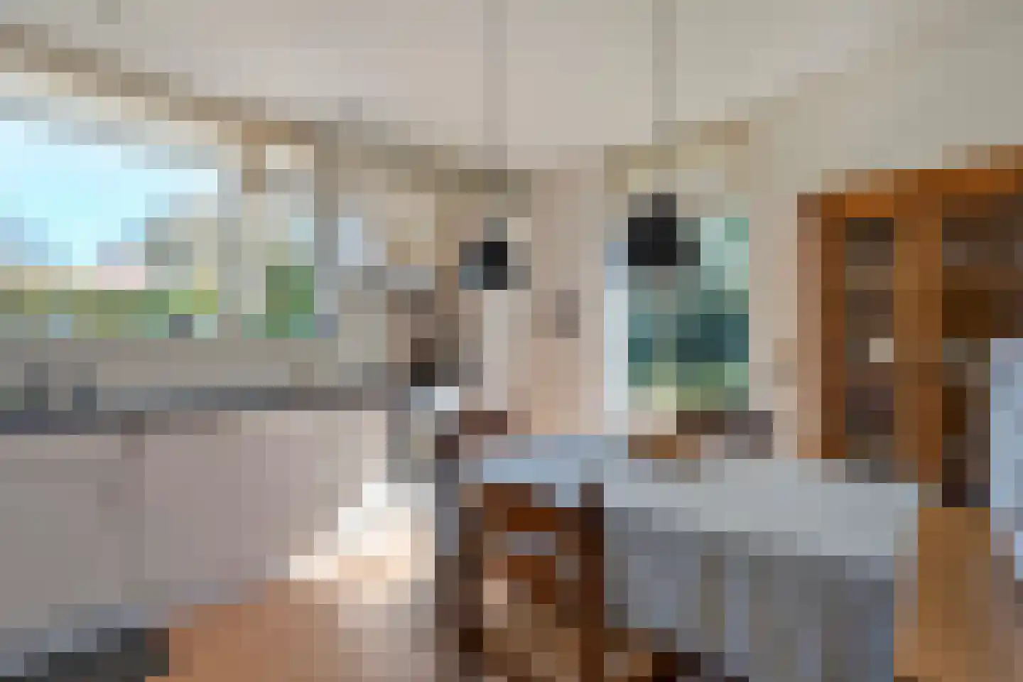 Slagendijk 5 Zuidwolde thumbnail 20