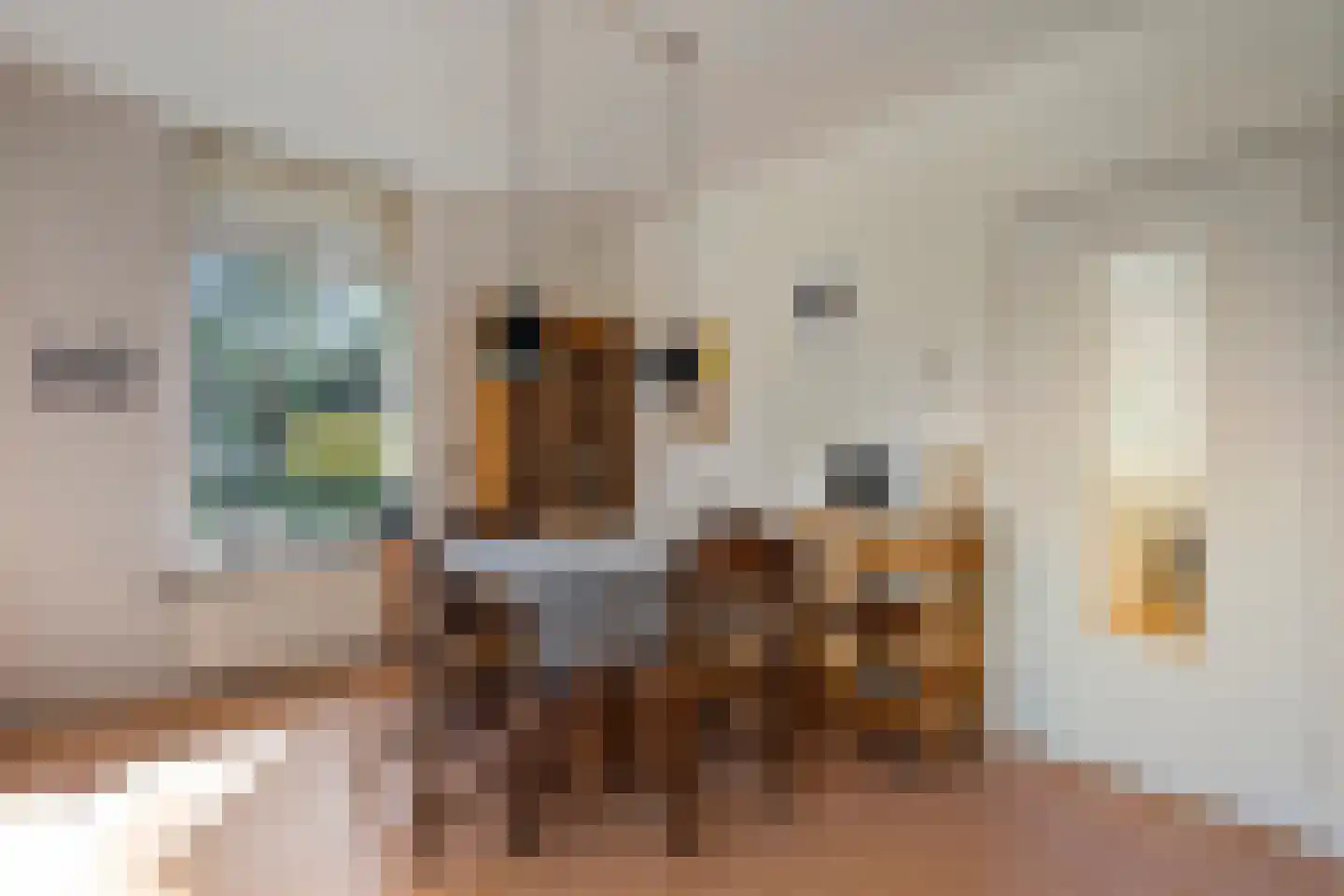 Slagendijk 5 Zuidwolde thumbnail 21