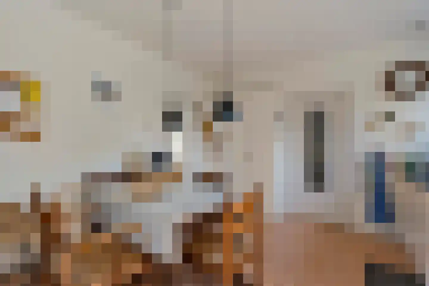 Slagendijk 5 Zuidwolde thumbnail 22