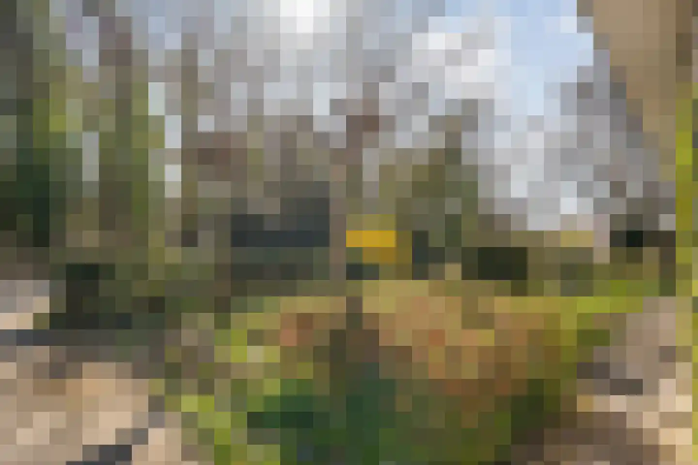 Slagendijk 5 Zuidwolde foto 3