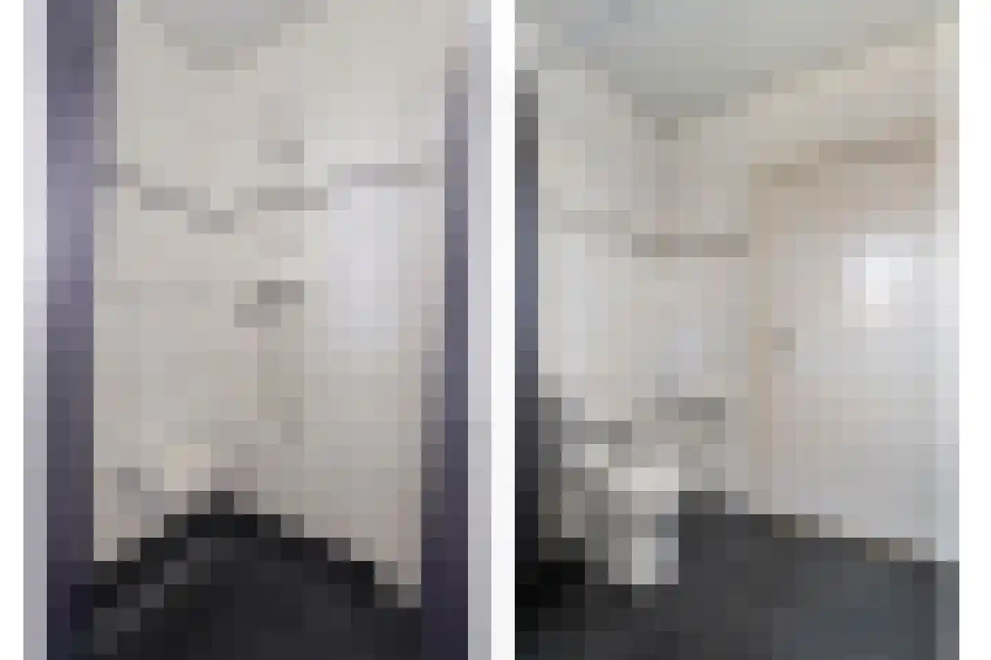 Slagendijk 5 Zuidwolde thumbnail 36