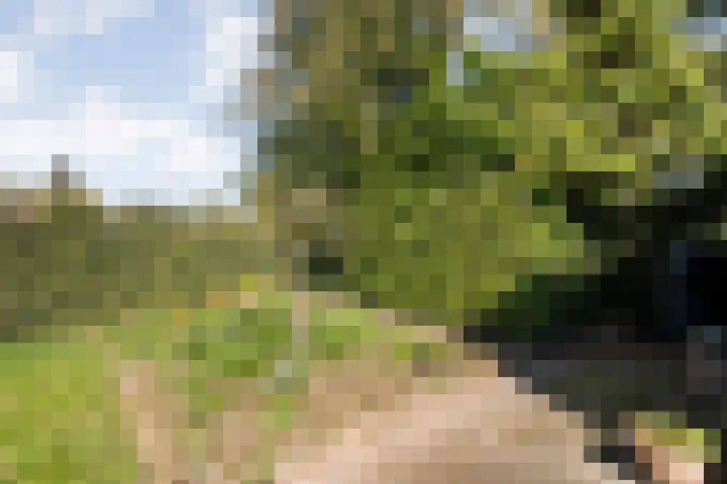 Slagendijk 5 Zuidwolde thumbnail 39