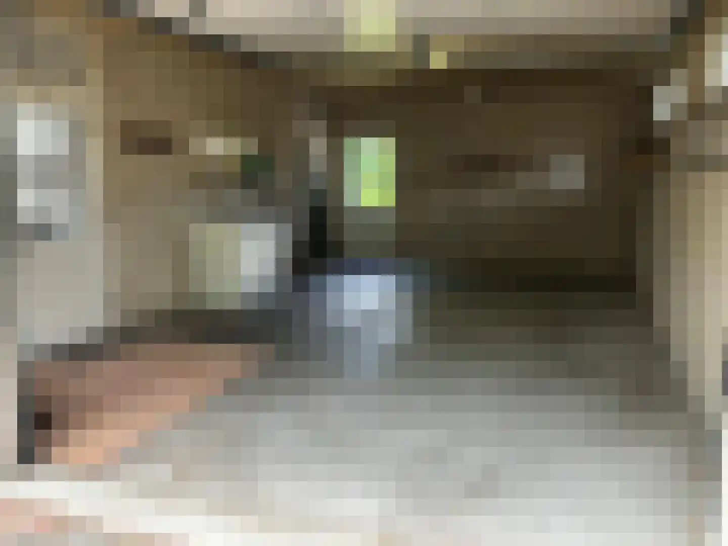 Slagendijk 5 Zuidwolde thumbnail 39