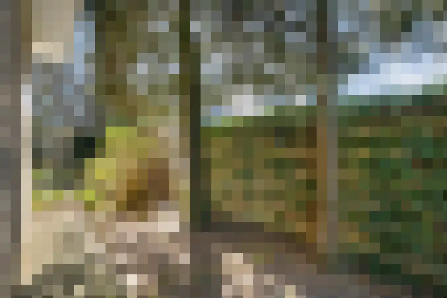 Slagendijk 5 Zuidwolde thumbnail 43