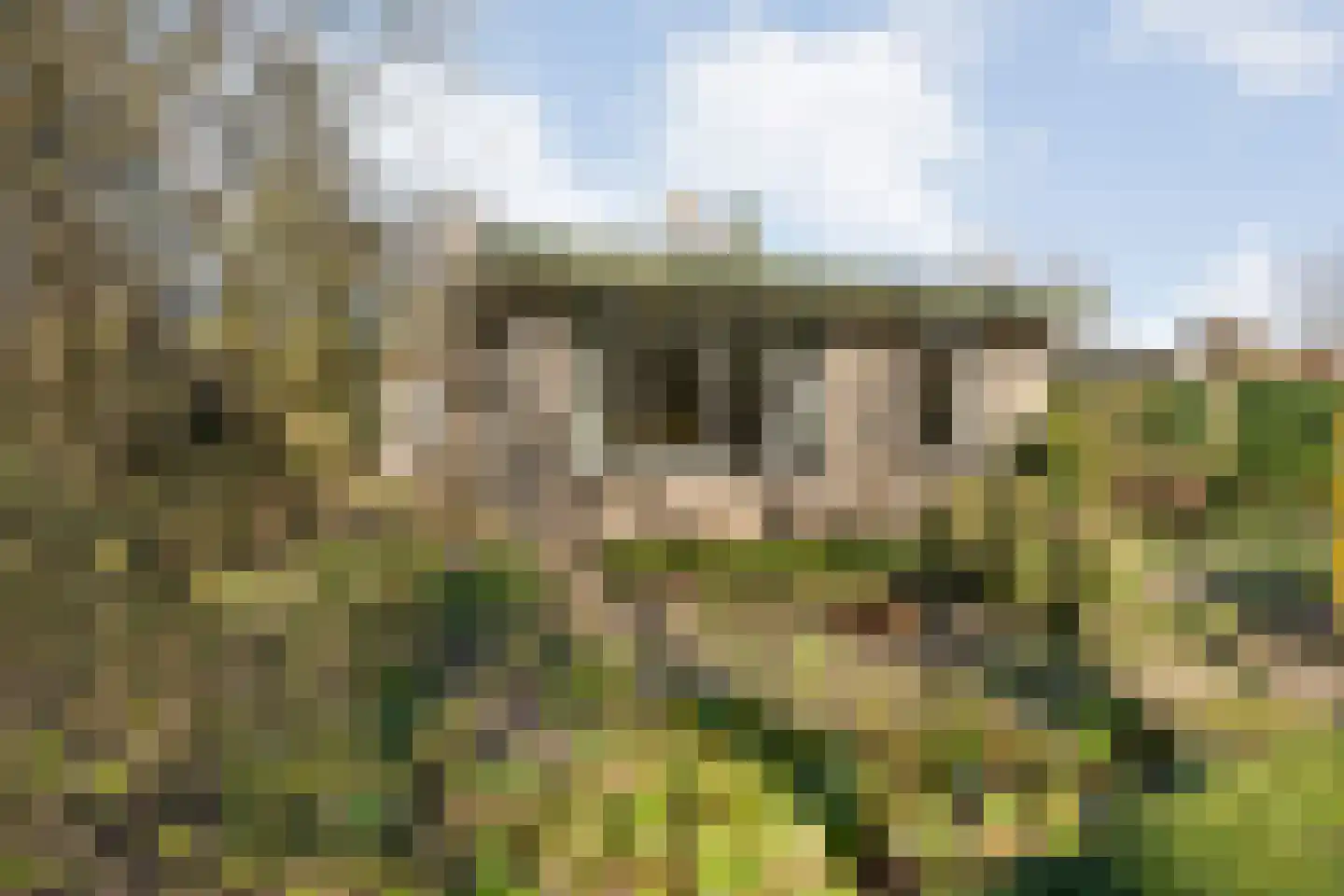 Slagendijk 5 Zuidwolde thumbnail 44