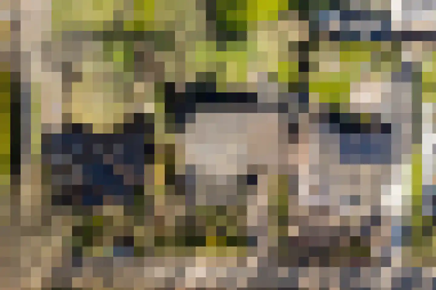 Slagendijk 5 Zuidwolde thumbnail 48