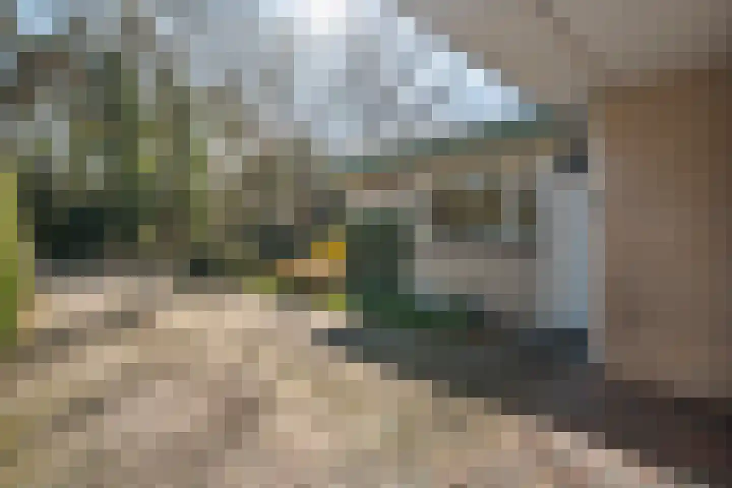 Slagendijk 5 Zuidwolde thumbnail 9