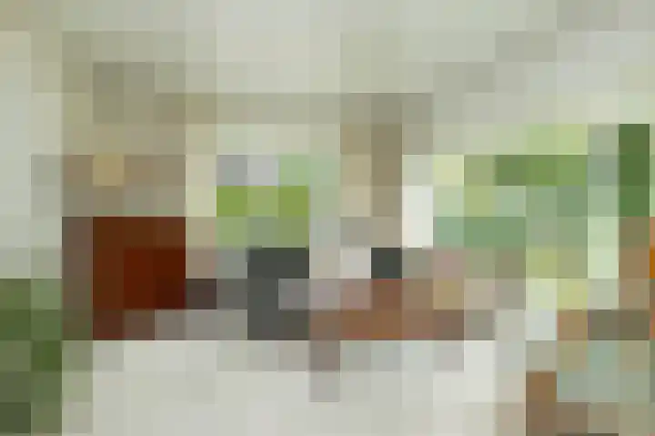 Slagendijk 7 Zuidwolde thumbnail 12
