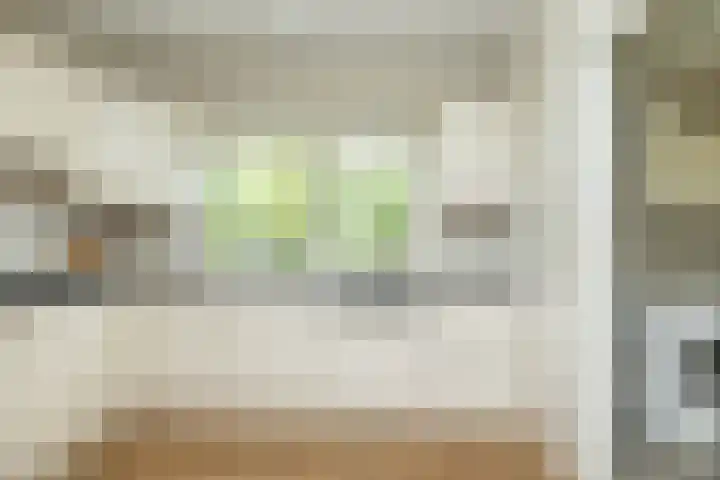 Slagendijk 7 Zuidwolde thumbnail 22
