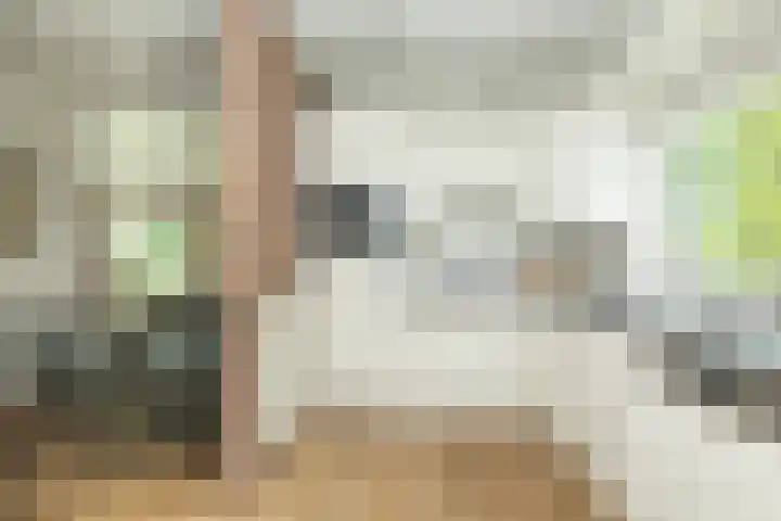 Slagendijk 7 Zuidwolde thumbnail 23