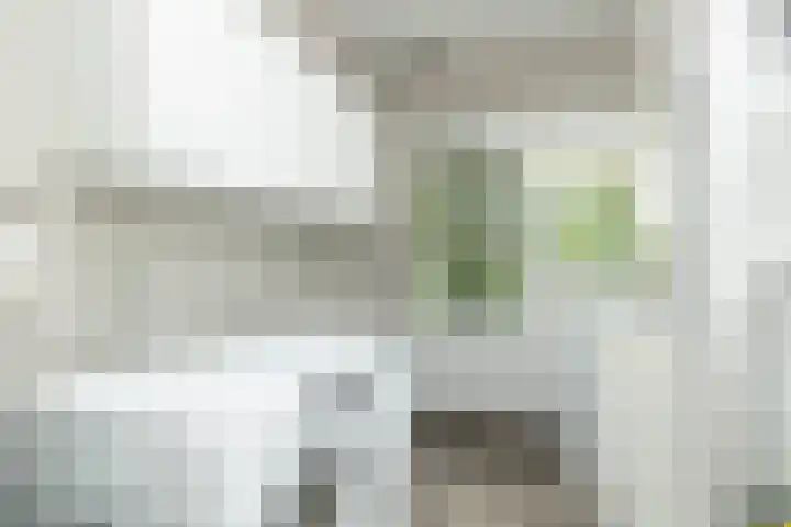 Slagendijk 7 Zuidwolde thumbnail 24