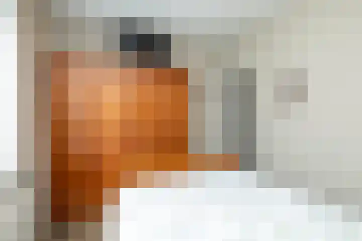 Slagendijk 7 Zuidwolde thumbnail 28