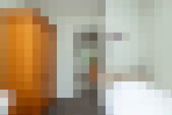 Slagendijk 7 Zuidwolde thumbnail 30