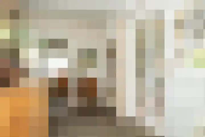 Slagendijk 7 Zuidwolde thumbnail 33