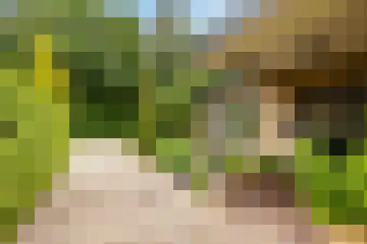 Slagendijk 7 Zuidwolde thumbnail 37