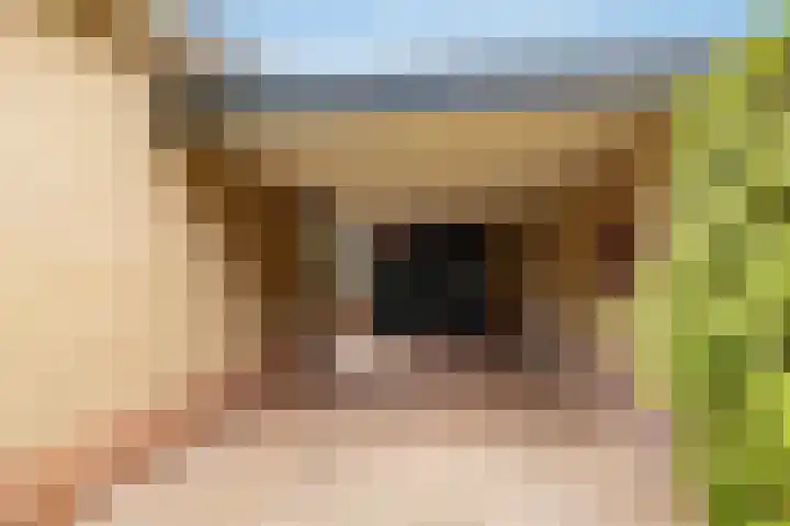 Slagendijk 7 Zuidwolde thumbnail 38