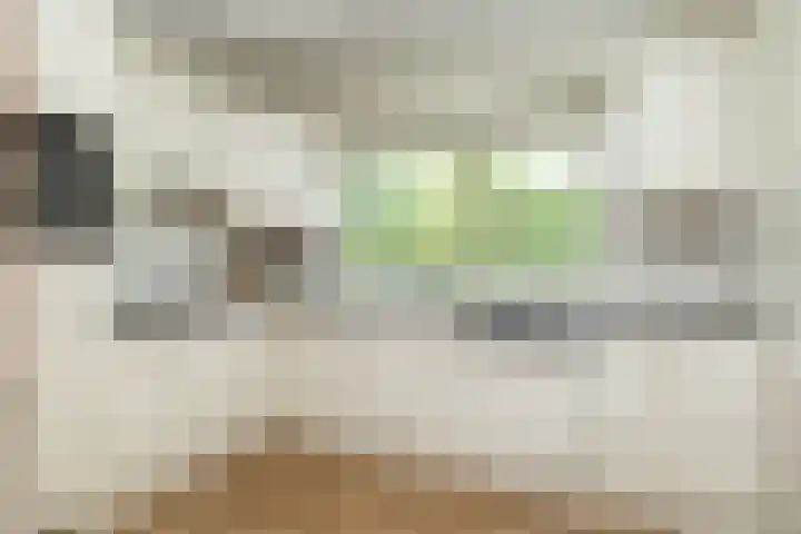 Slagendijk 7 Zuidwolde thumbnail 4