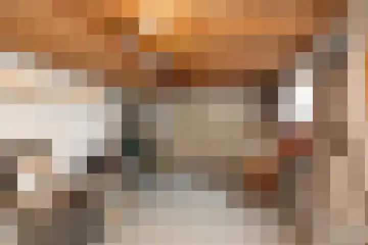 Slagendijk 7 Zuidwolde thumbnail 41