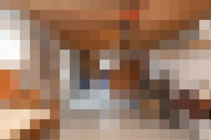 Slagendijk 7 Zuidwolde thumbnail 42